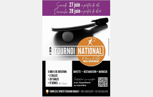Tournoi Halluin